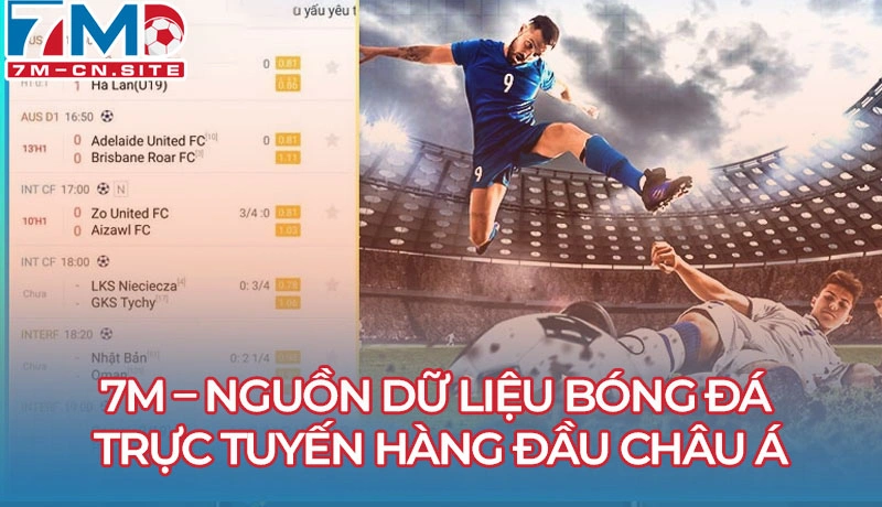 7M – Nguồn dữ liệu bóng đá trực tuyến hàng đầu châu Á