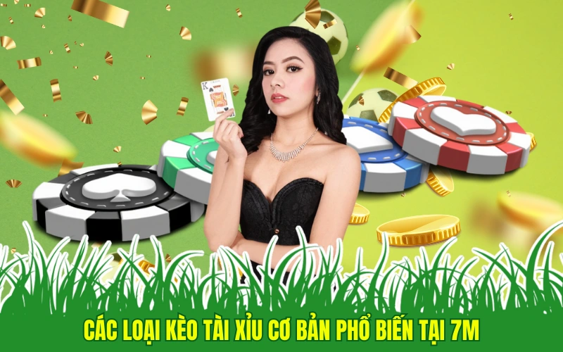 Các loại kèo tài xỉu cơ bản phổ biến